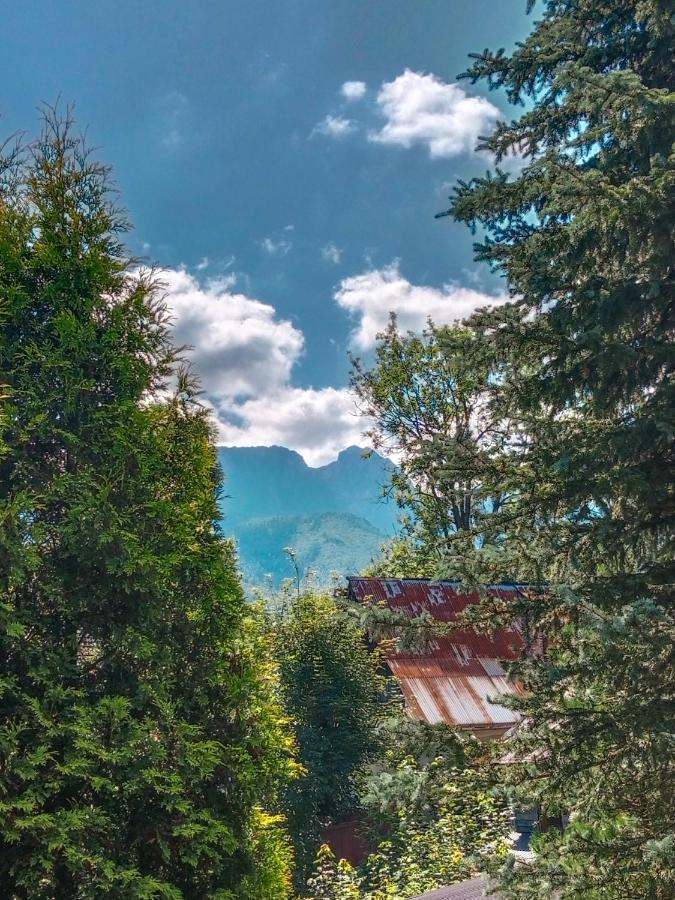 Wynajem Pokoi Goscinnych Zakopane Exterior foto