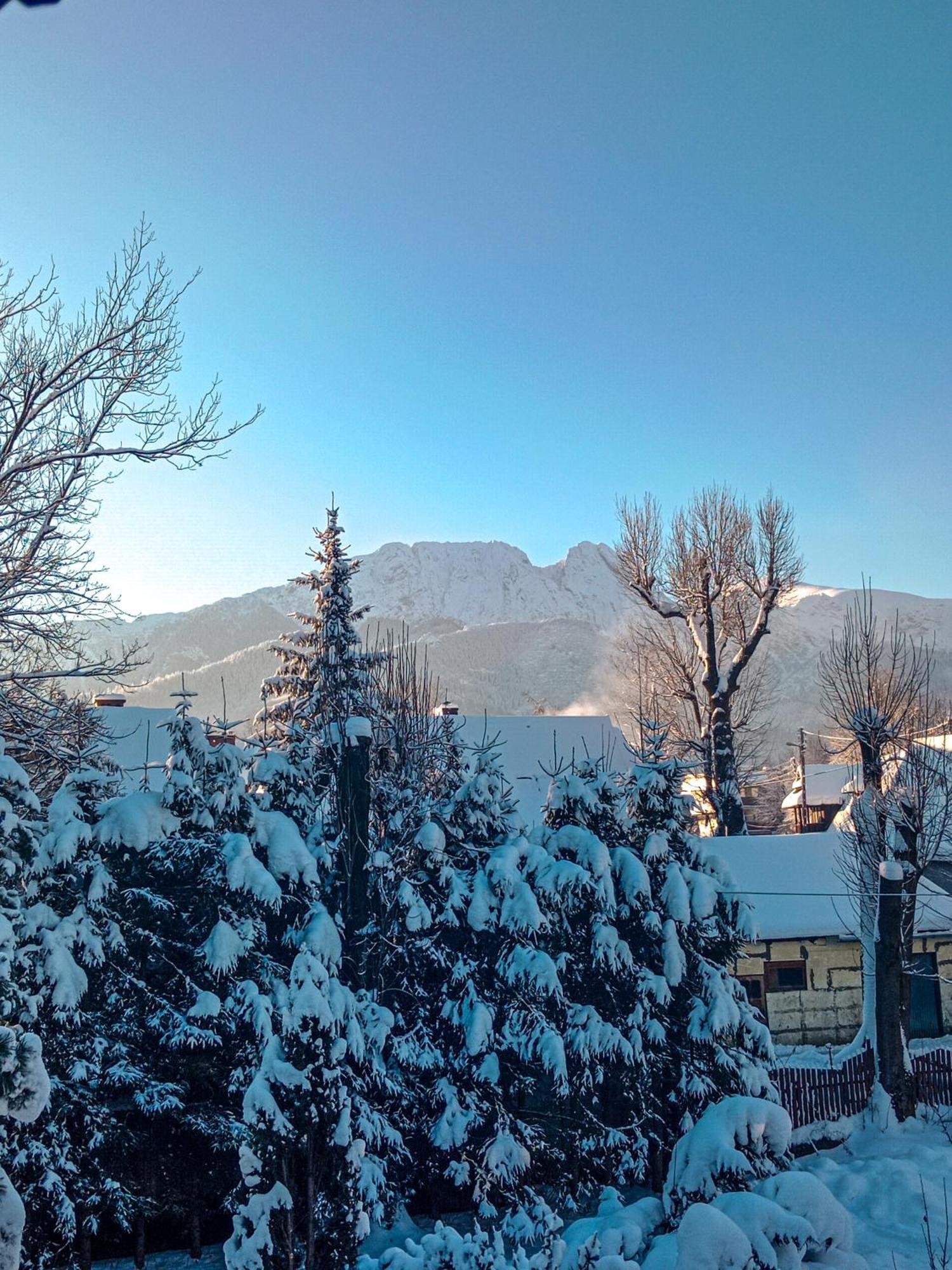 Wynajem Pokoi Goscinnych Zakopane Exterior foto